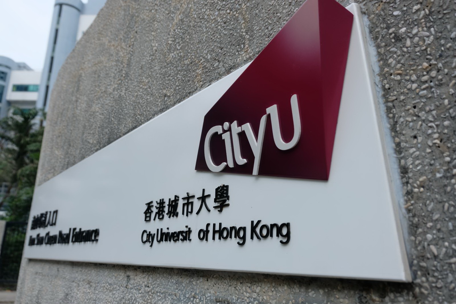 香港城市大学